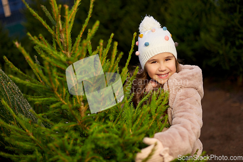 Image of little girl choosing christmas tree at market