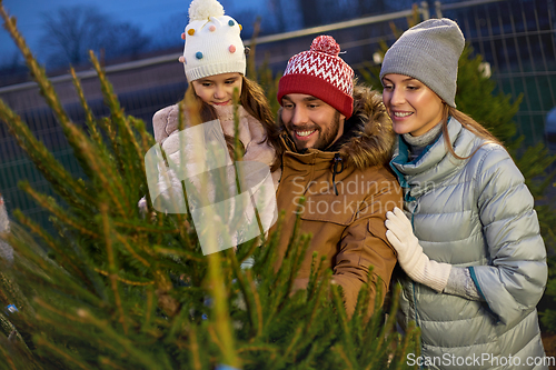 Image of happy family choosing christmas tree at market