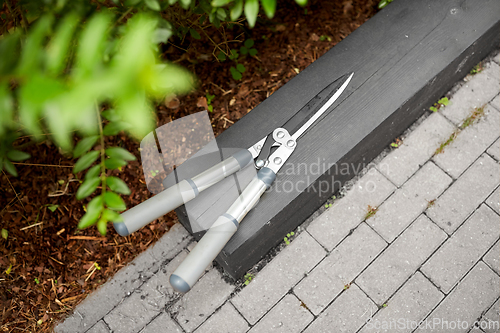 Image of close up of pruner or pruning shearsat garden