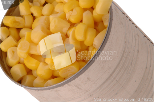 Image of corn 285