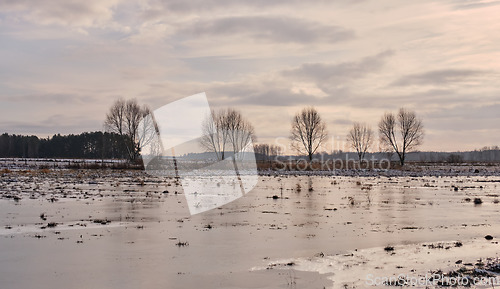 Image of Springtime flooded field and trees