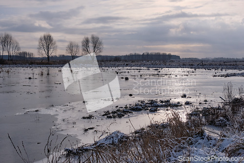 Image of Springtime flooded field and trees