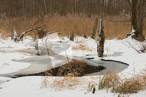 Image of Winter landscape of frozen Lesna River