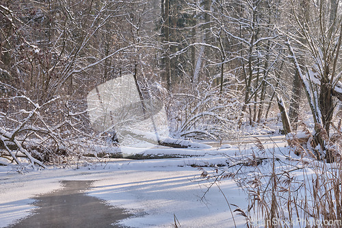 Image of Winter landscape of frozen Lesna River