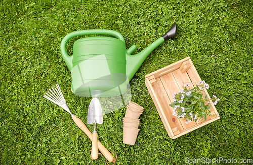 Image of garden tools and flowers in wooden box at summer