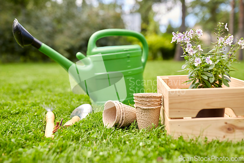 Image of garden tools and flowers in wooden box at summer