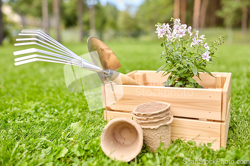 Image of garden tools and flowers in wooden box at summer