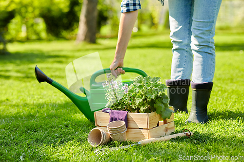 Image of woman with garden tools in wooden box at summer