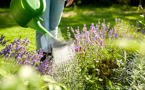 Image of young woman watering flowers at garden