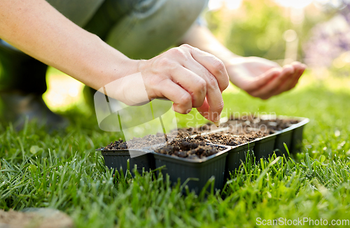 Image of woman planting flower seeds to pots tray with soil