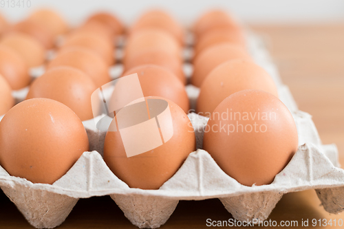 Image of Egg in pack