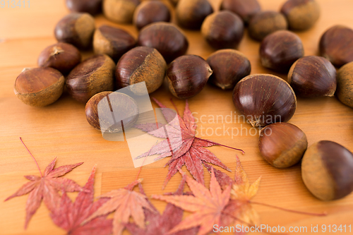 Image of Dried maple leaves and chestnut