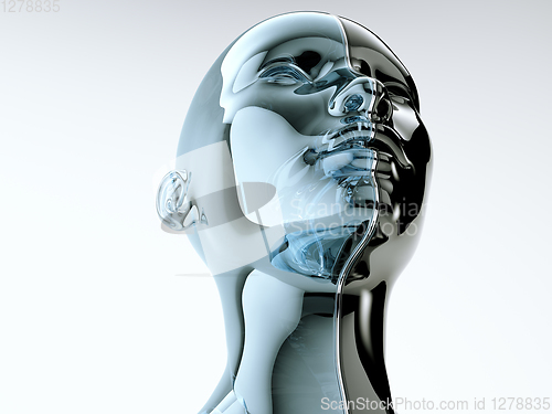 Image of Glass human head separated by line as symbol of balance and dive