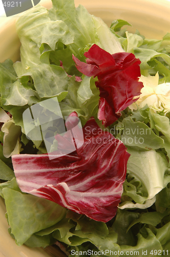 Image of european salad 272