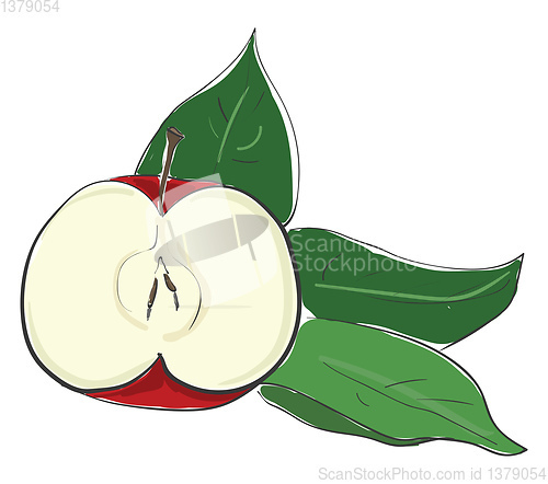 Image of Sliced red apple vector or color illustration