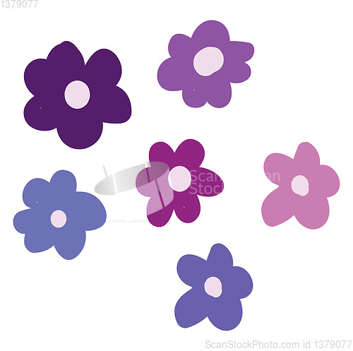 Image of Various Bergenia vector or color illustration