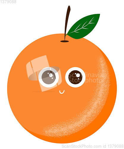 Image of Orange fruit to eat, vector or color illustration.