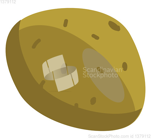 Image of A big round golden potato to be enjoyed when added to recipes ve