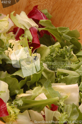 Image of european salad 274