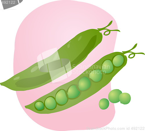 Image of Peas illustration