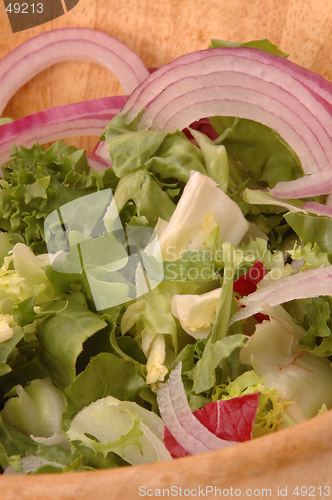 Image of european salad 281