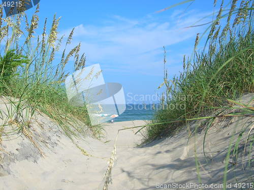 Image of Sunny beach