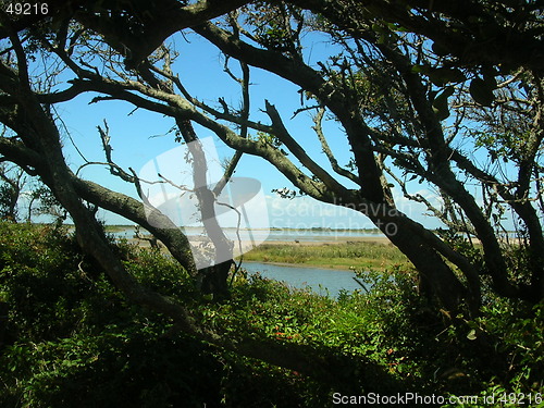 Image of National Walk, NC