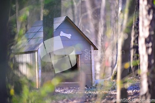 Image of dog house in the wooded forest