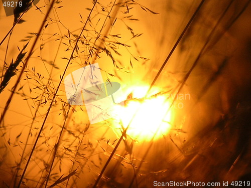 Image of Yellow Sunset