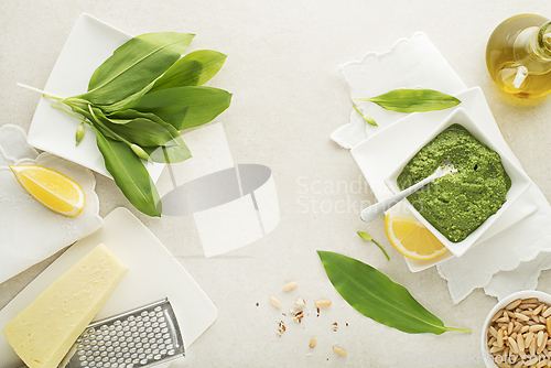 Image of Wild garlic ramson pesto