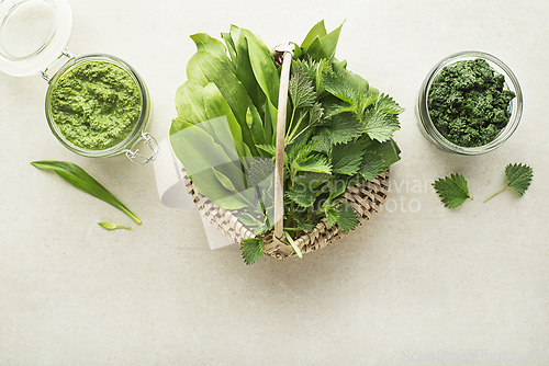 Image of Pesto ramson wild garlic nettle