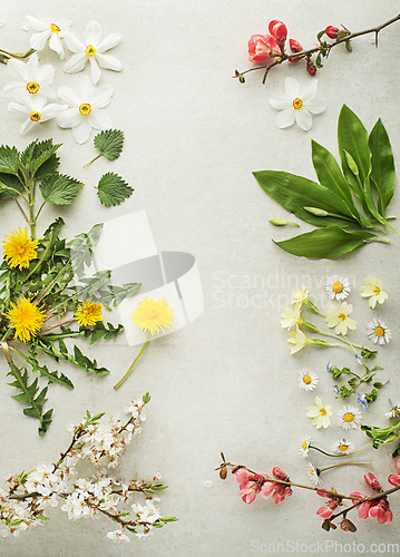 Image of Spring background food