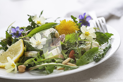 Image of Spring salad