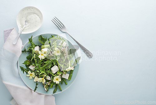 Image of Spring salad