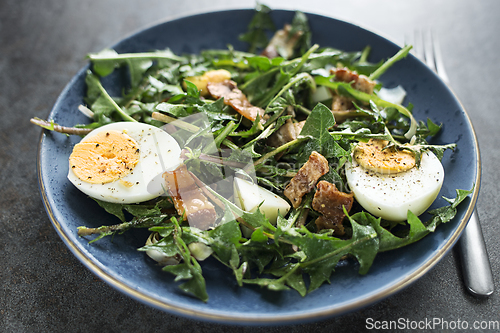 Image of Dandelion salad ham