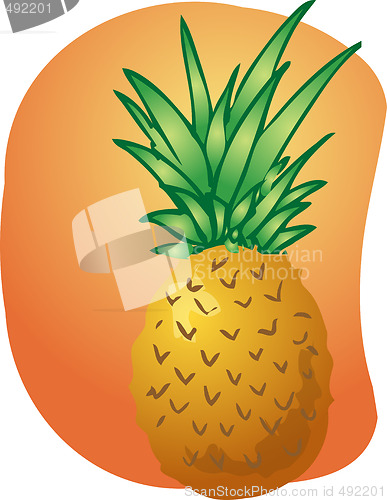 Image of Pineapple fruit illustration