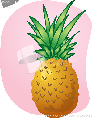 Image of Pineapple fruit illustration