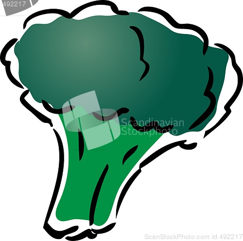 Image of Broccoli illustration