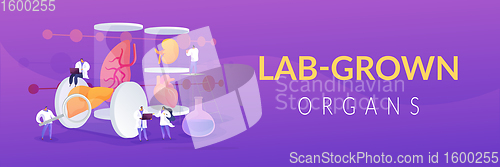 Image of Lab-Grown Organs concept banner header