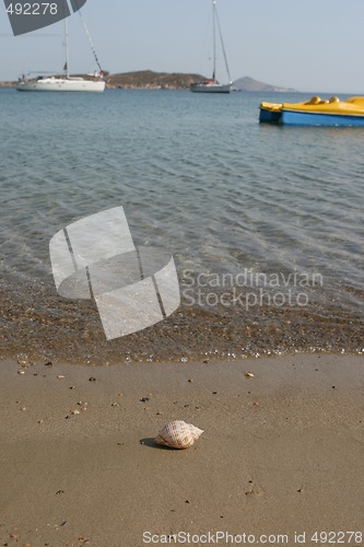 Image of seashore yachts shell