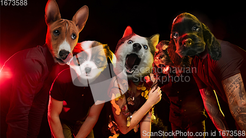 Image of Talented dogs, professional musicians performing on dark background in neon light. Concept of music, hobby, festival, contemporary art collage. Modern design.