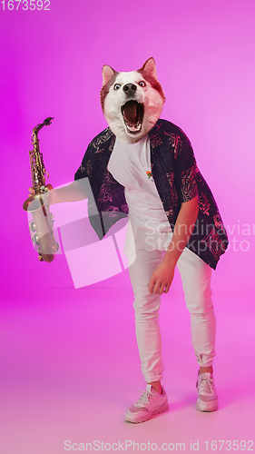 Image of Talented dog, professional musician performing on pink background in neon light. Concept of music, hobby, festival, contemporary art collage. Modern design.