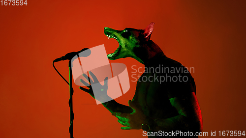 Image of Talented dog, professional musician performing on deep red background in neon light. Concept of music, hobby, festival, contemporary art collage. Modern design.