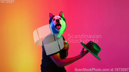 Image of Talented dog, professional musician performing on multicoloted background in neon light. Concept of music, hobby, festival, contemporary art collage. Modern design.