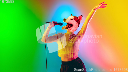 Image of Talented dog, professional musician performing on multicoloted background in neon light. Concept of music, hobby, festival, contemporary art collage. Modern design.