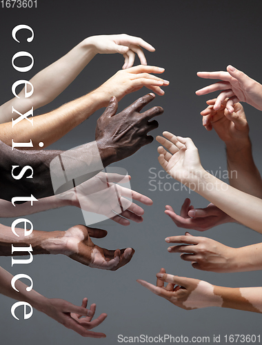 Image of African and caucasian hands gesturing on gray studio background, tolerance and equality concept