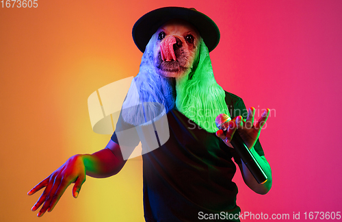 Image of Talented dog, professional musician performing on multicoloted background in neon light. Concept of music, hobby, festival, contemporary art collage. Modern design.