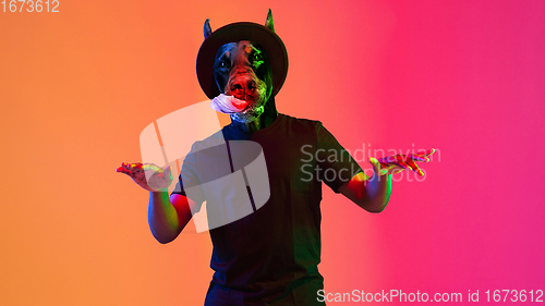 Image of Talented dog, professional musician performing on multicoloted background in neon light. Concept of music, hobby, festival, contemporary art collage. Modern design.