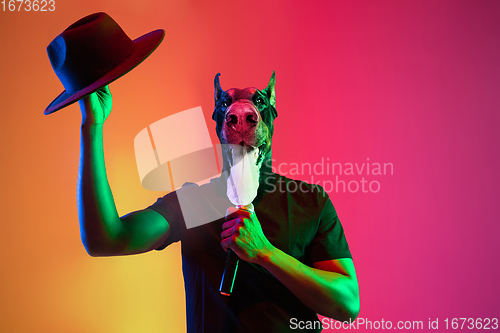 Image of Talented dog, professional musician performing on multicoloted background in neon light. Concept of music, hobby, festival, contemporary art collage. Modern design.