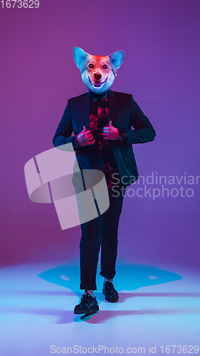 Image of Talented dog, professional musician performing on purple pink background in neon light. Concept of music, hobby, festival, contemporary art collage. Modern design.